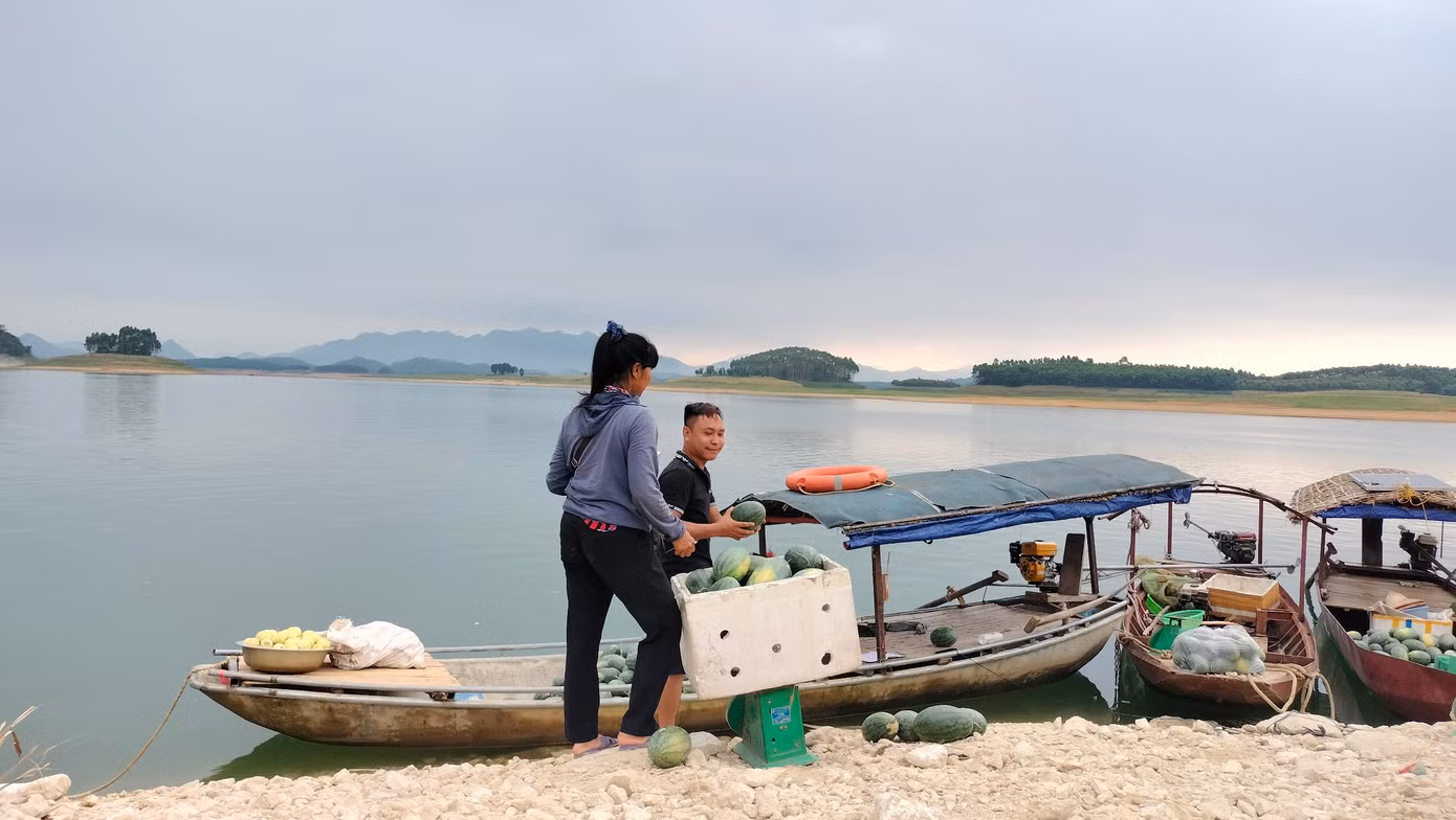 Giá bán tại bến đối với dưa hấu dao động từ 5.000 đến 10.000 đồng/1kg. Đối với các lái buôn thu mua số lượng lớn sẽ bán đồng giá từ 7.000 đến 8.000 đồng/1kg. Dưa lê 10.000 - 15.000 đồng/1kg. Giá bán tại bến đối với dưa hấu dao động từ 5.000 đến 10.000 đồng/1kg. Đối với các lái buôn thu mua số lượng lớn sẽ bán đồng giá từ 7.000 đến 8.000 đồng/1kg. Dưa lê 10.000 - 15.000 đồng/1kg.