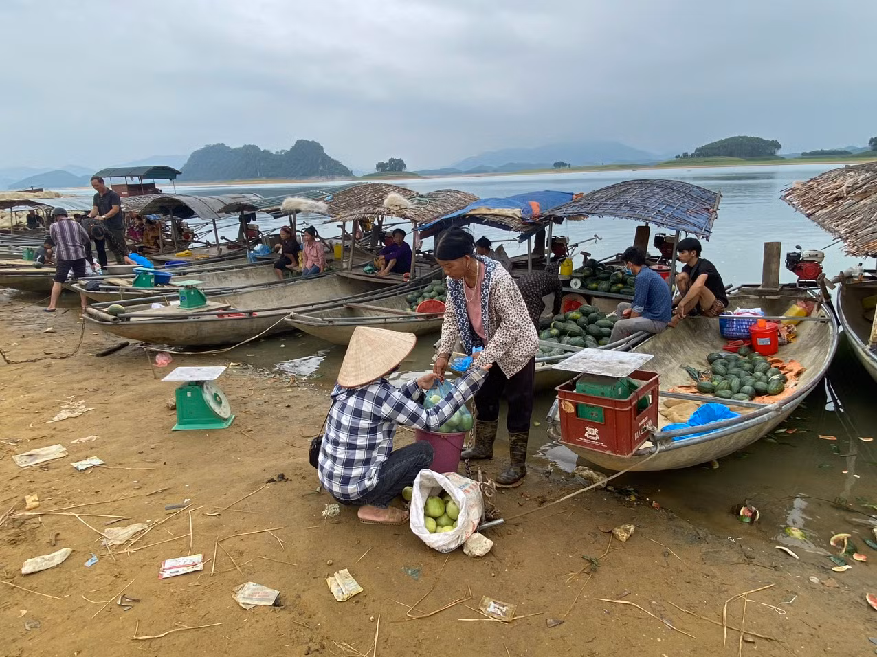 Theo thống kê của Trung tâm dịch vụ, Hỗ trợ phát triển nông nghiệp huyện Yên Bình, hiện sản phẩm dưa hấu trồng tại các đảo trên hồ Thác Bà được huyện đăng ký sản phẩm OCOP. Theo thống kê của Trung tâm dịch vụ, Hỗ trợ phát triển nông nghiệp huyện Yên Bình, hiện sản phẩm dưa hấu trồng tại các đảo trên hồ Thác Bà được huyện đăng ký sản phẩm OCOP.