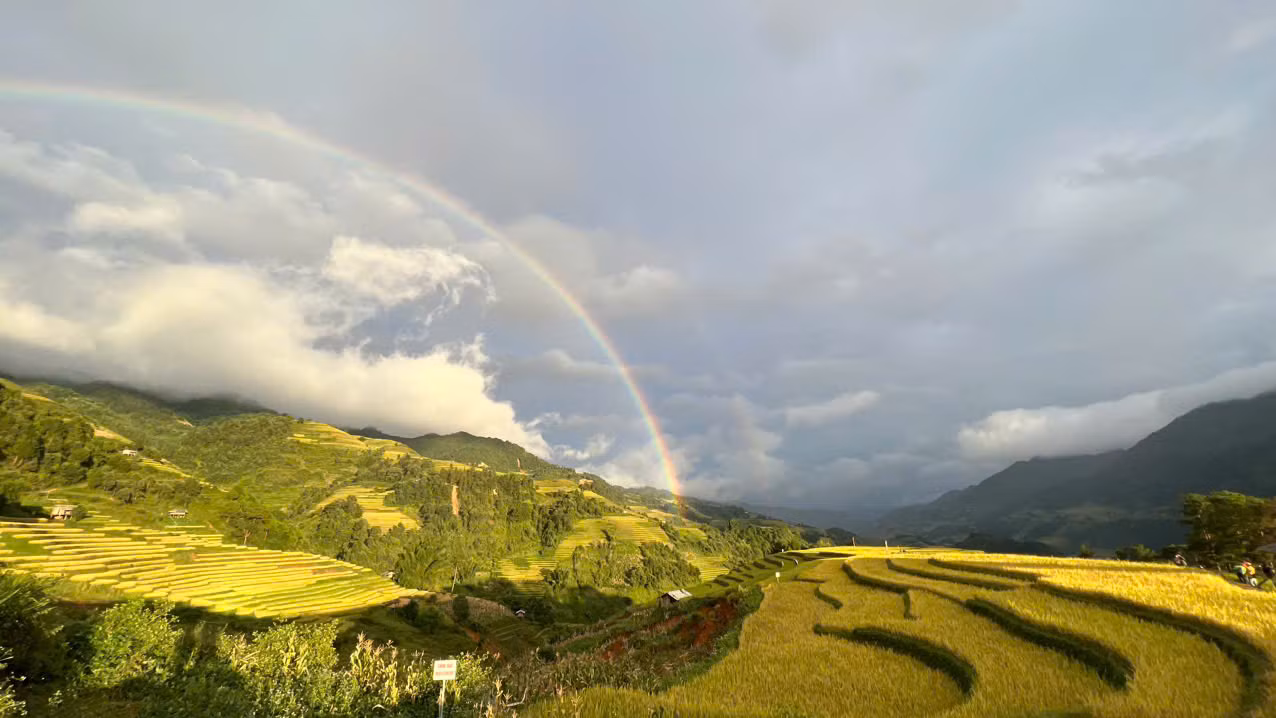 Trên khắp huyện Mù Cang Chải, đâu đâu cũng thấy những thửa ruộng bậc thang xếp tầng, xếp lớp mênh mông khắp các quả đồi.