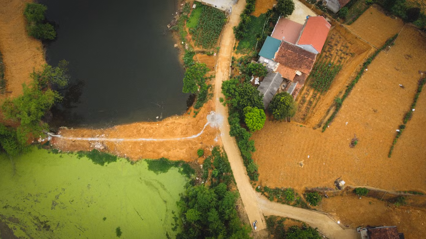 Hồ Đầm (xã Minh Quang, Ba Vì) bị chủ thầu hồ nuôi cá san lấp đất, ngăn dòng chảy.