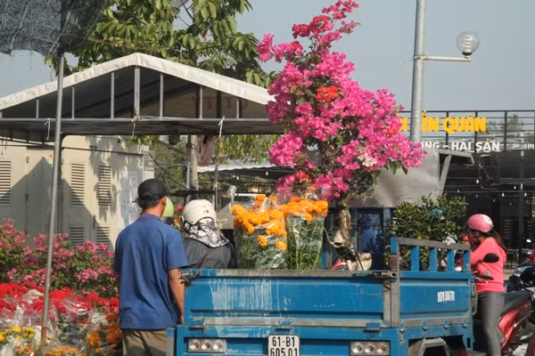 Người dân chen nhau mua hoa kiểng xả hàng ngày 30 Tết ảnh 9