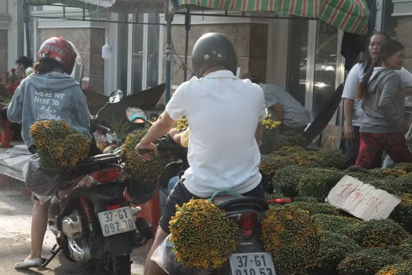 Người dân chen nhau mua hoa kiểng xả hàng ngày 30 Tết ảnh 4
