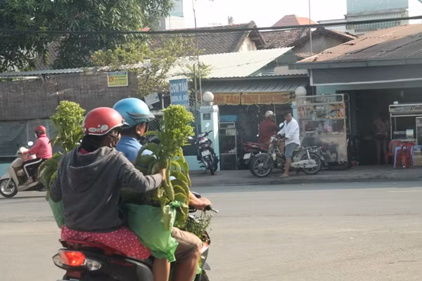 Người dân chen nhau mua hoa kiểng xả hàng ngày 30 Tết ảnh 10