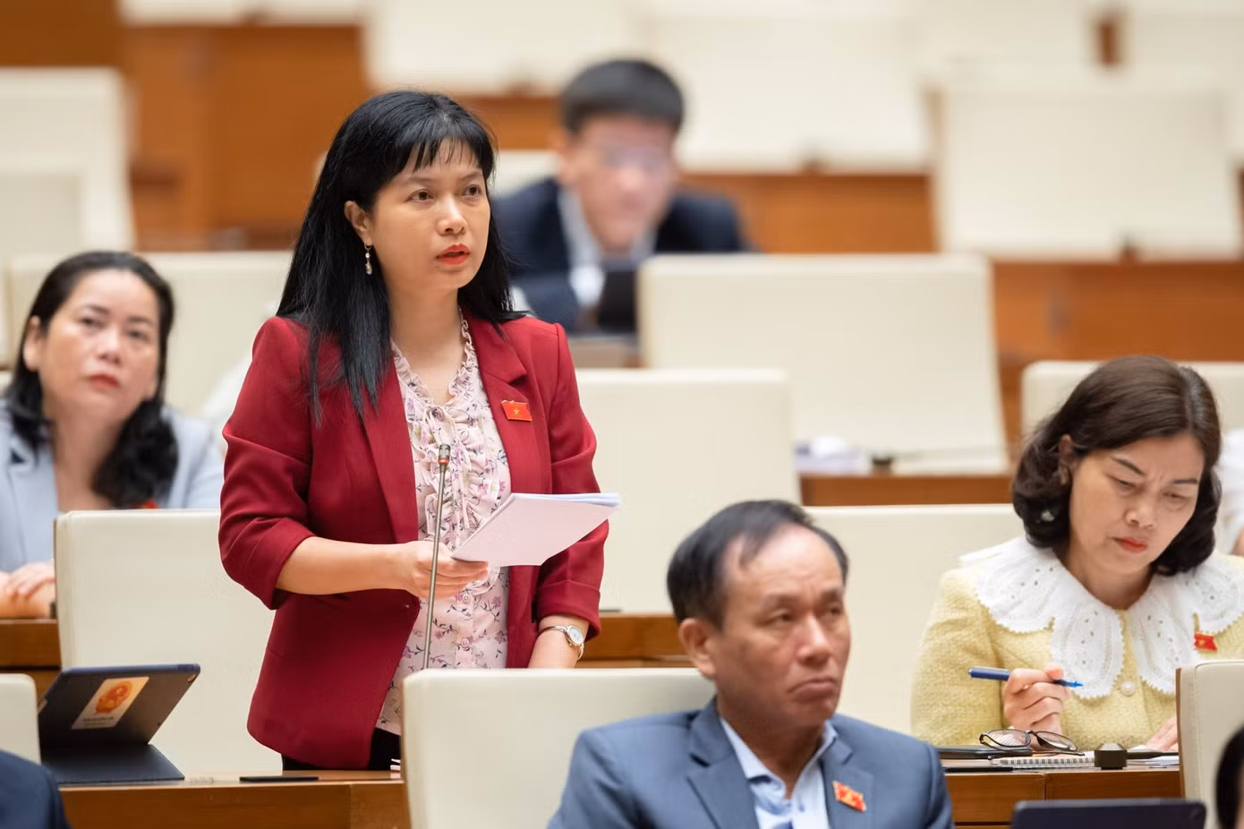 Đại biểu Tạ Thị Yên (Phó Trưởng Ban Công tác đại biểu)