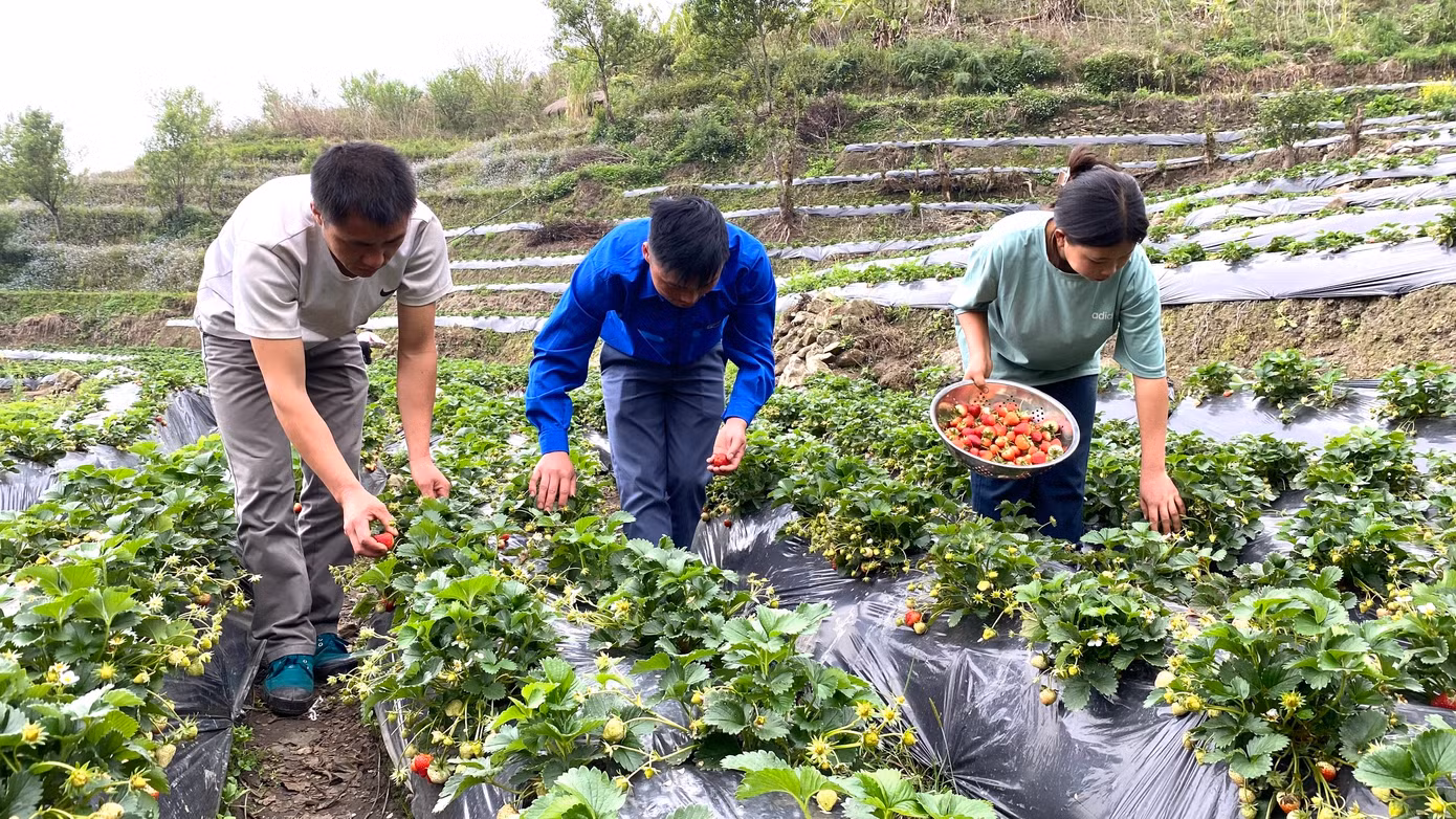 Thanh niên Giàng A Chứ (bên trái) chia sẻ kinh nghiệm cho các thanh niên địa phương.