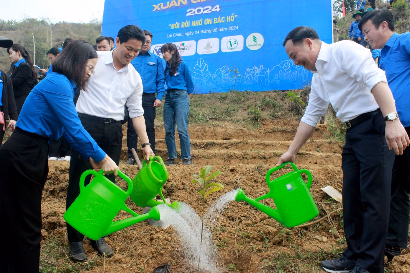 Các đại biểu tham gia trồng cây xanh.