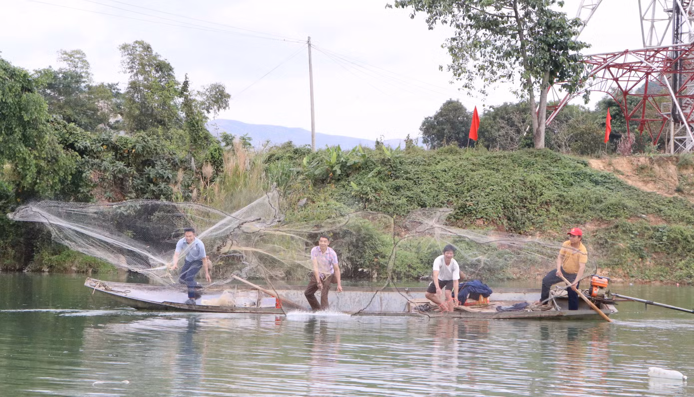 Nghi thức đánh cá đầu năm cầu may.