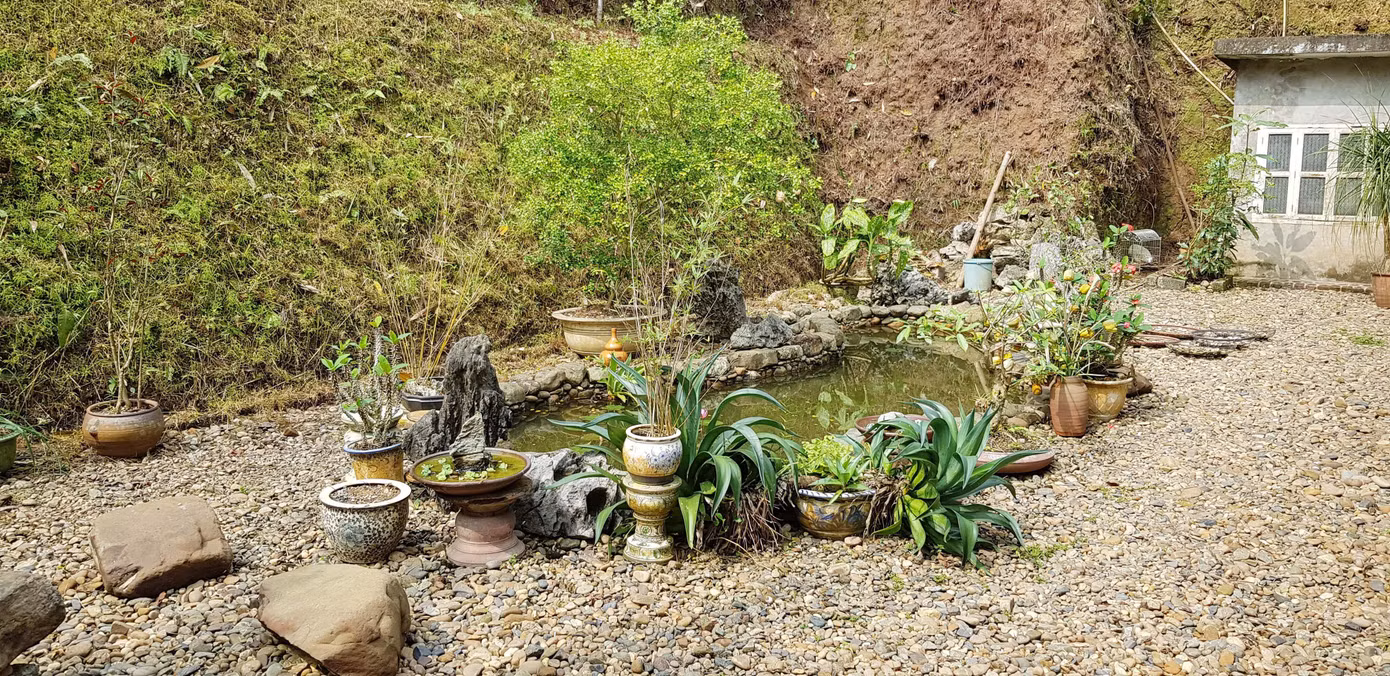 Nhớ Văn Cao ở gia trang người con trưởng ảnh 1
