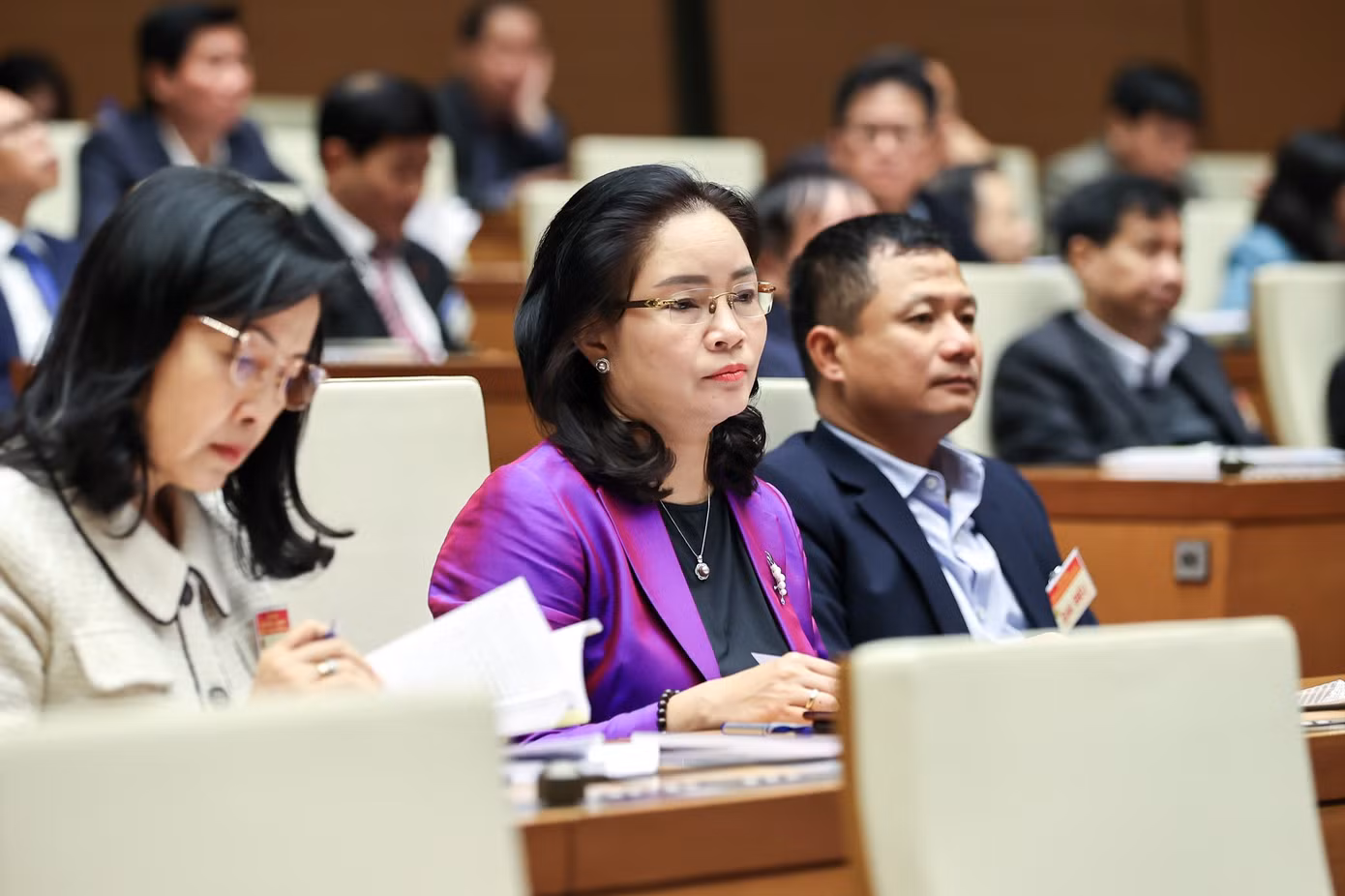 Các đại biểu tham dự hội nghị. Ảnh Như Ý