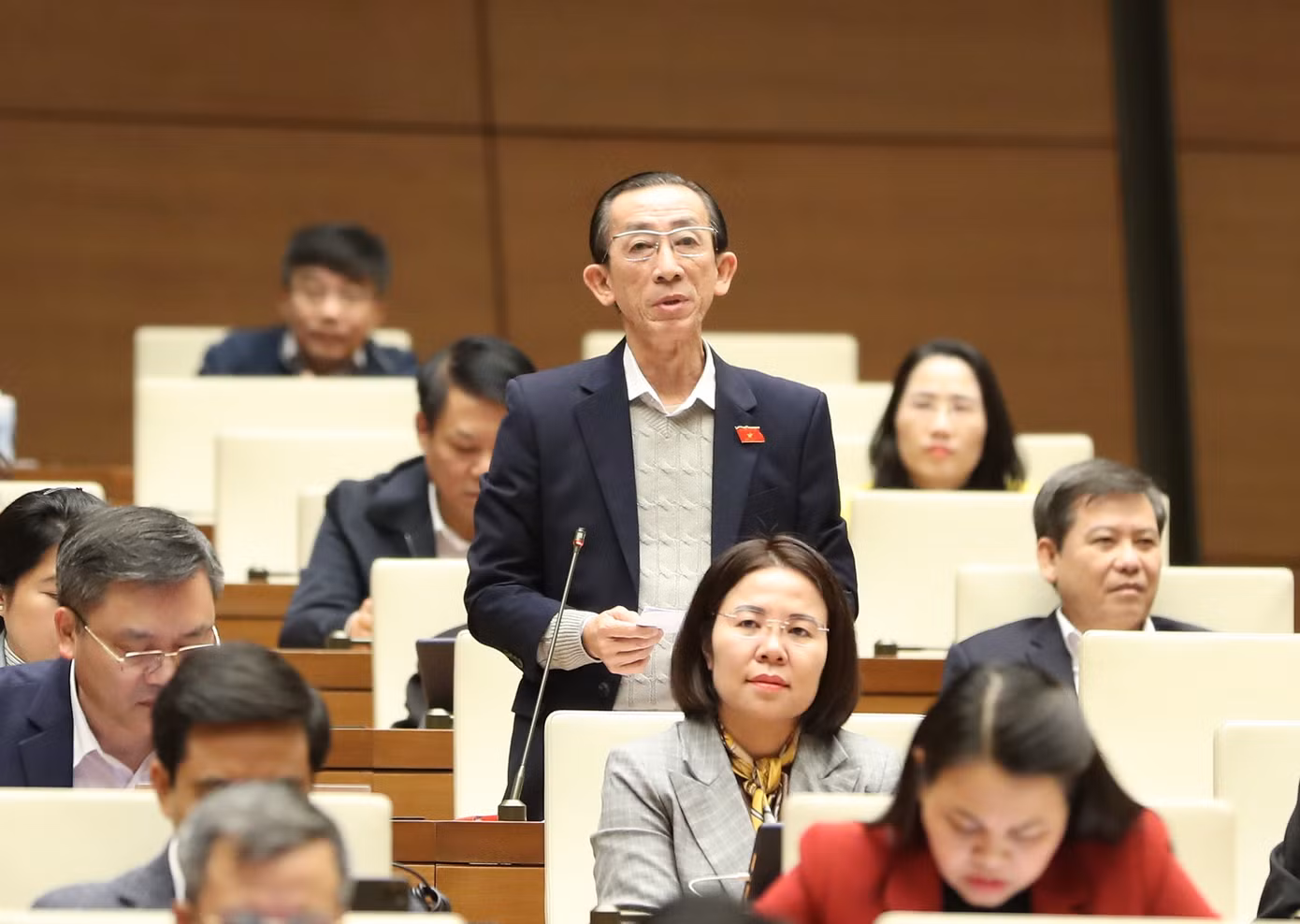 Đại biểu Trần Hoàng Ngân (TP HCM). Ảnh Quang Vinh