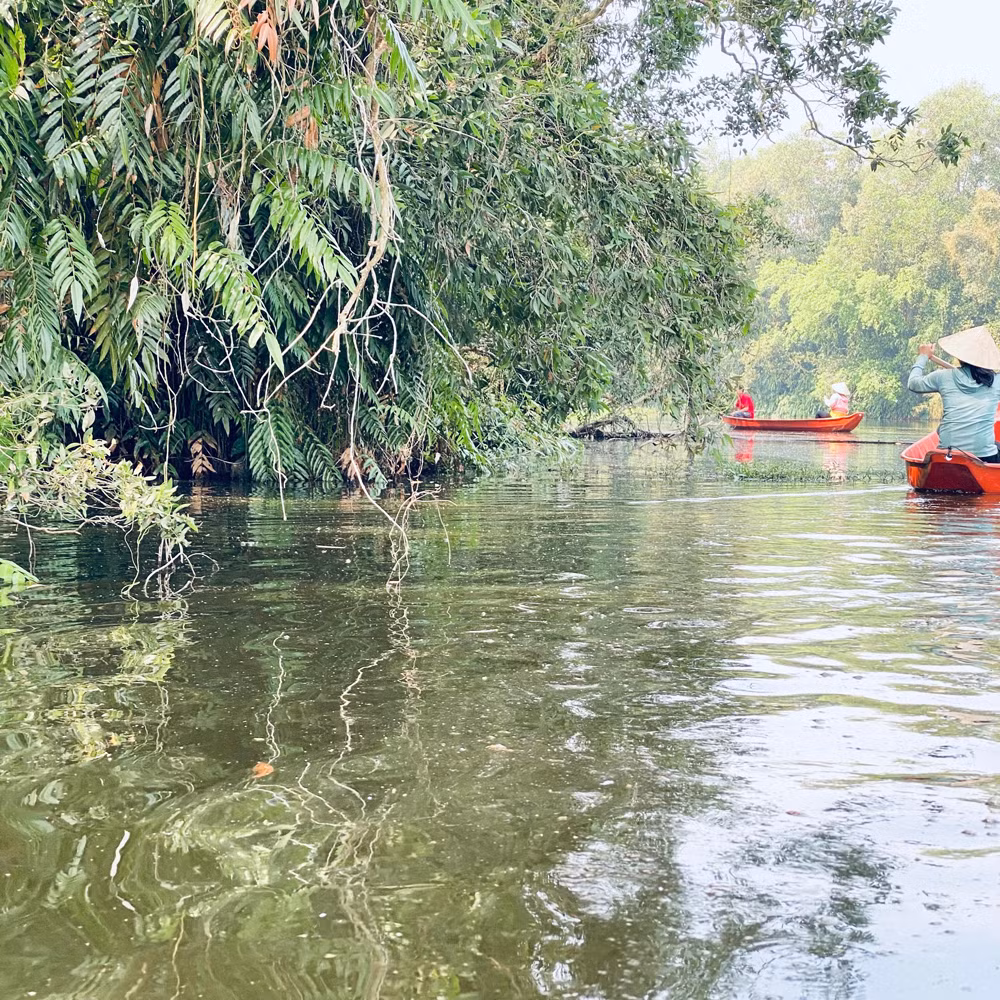 Hấp dẫn điểm du lịch Khu bảo tồn sinh thái Đồng Tháp Mười dịp Tết Nguyên đán