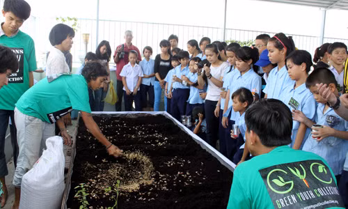 Nhóm Green Youth Collective thử nghiệm “Làm vườn đô thị” tại Trường tình thương Ánh Linh (Q.7) - Ảnh: Nguyễn Như