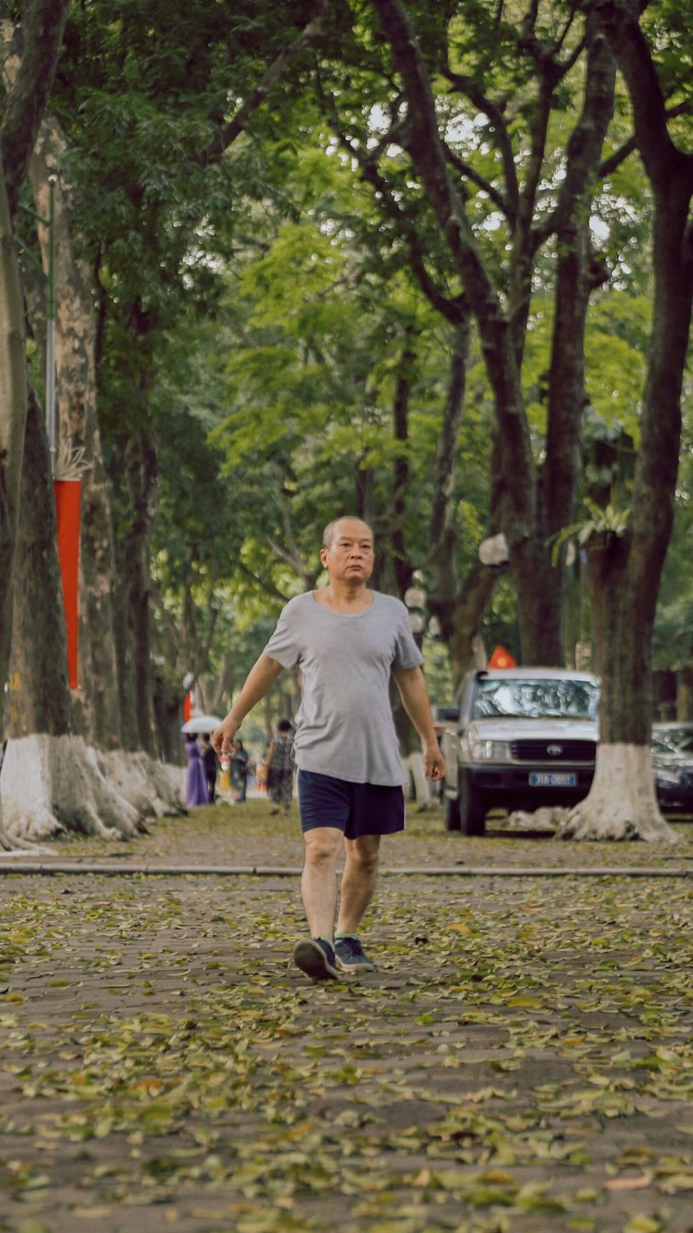 Những cây sấu già, những chiếc lá thả mình trong gió, những bước chân trên thảm lá vàng tạo nên một âm thanh xào xạc… hình ảnh đó đã trở thành một thứ rất đỗi thân quen của người dân Hà thành