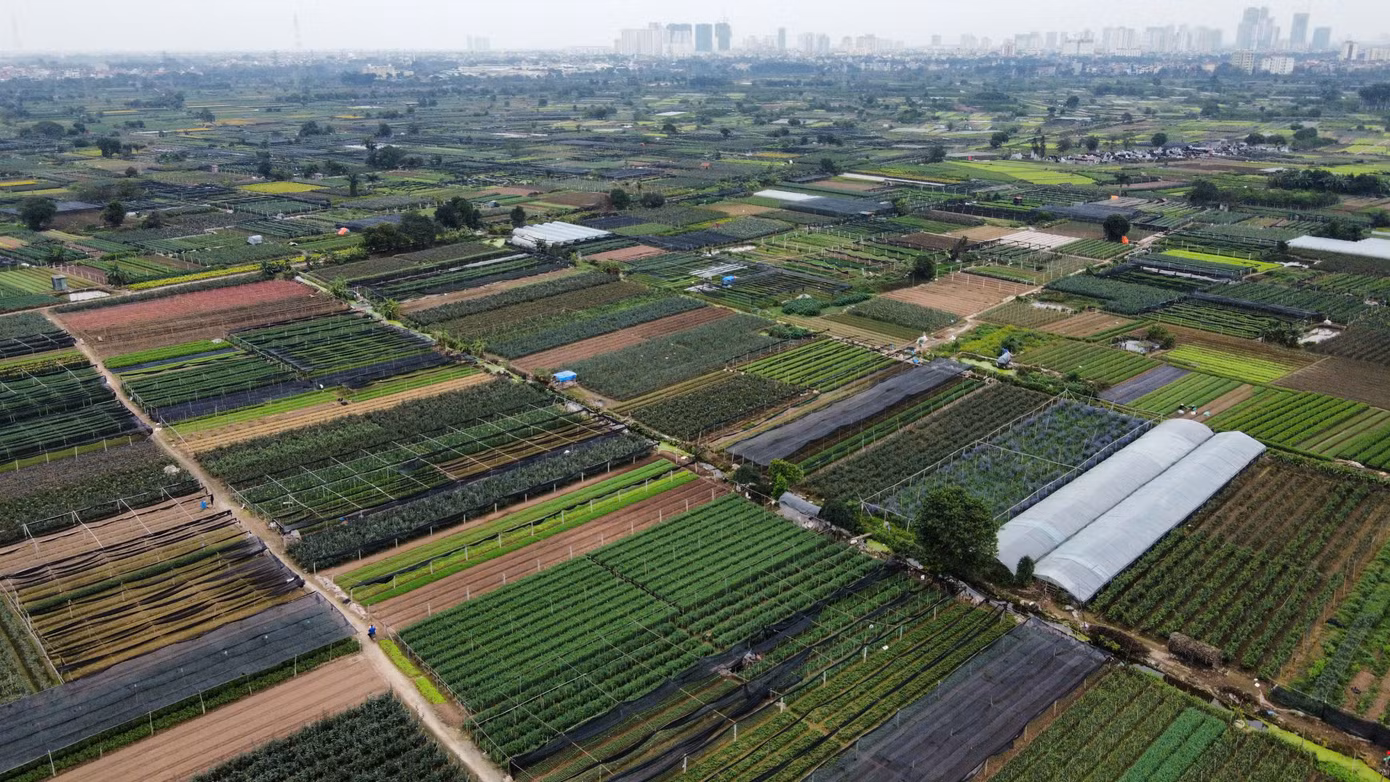 Từ năm 2021 đến nay, lãnh đạo thành phố đã đặc biệt quan tâm chỉ đạo, đôn đốc, tháo gỡ khó khăn đẩy nhanh tiến độ thực hiện dự án. Ví như, chỉ đạo tháo gỡ khó khăn về Công tác lập Quy hoạch phân khu xây dựng KCNC sinh học Hà Nội, tỷ lệ 1/2000; Đề án thành lập KCNC sinh học Hà Nội; việc hoàn trả tiền GPMB đối với số tiền nhà nước đã ứng vốn và tiếp tục ứng vốn GPMB; điều chỉnh tiến độ thực hiện dự án và công tác GPMB...
