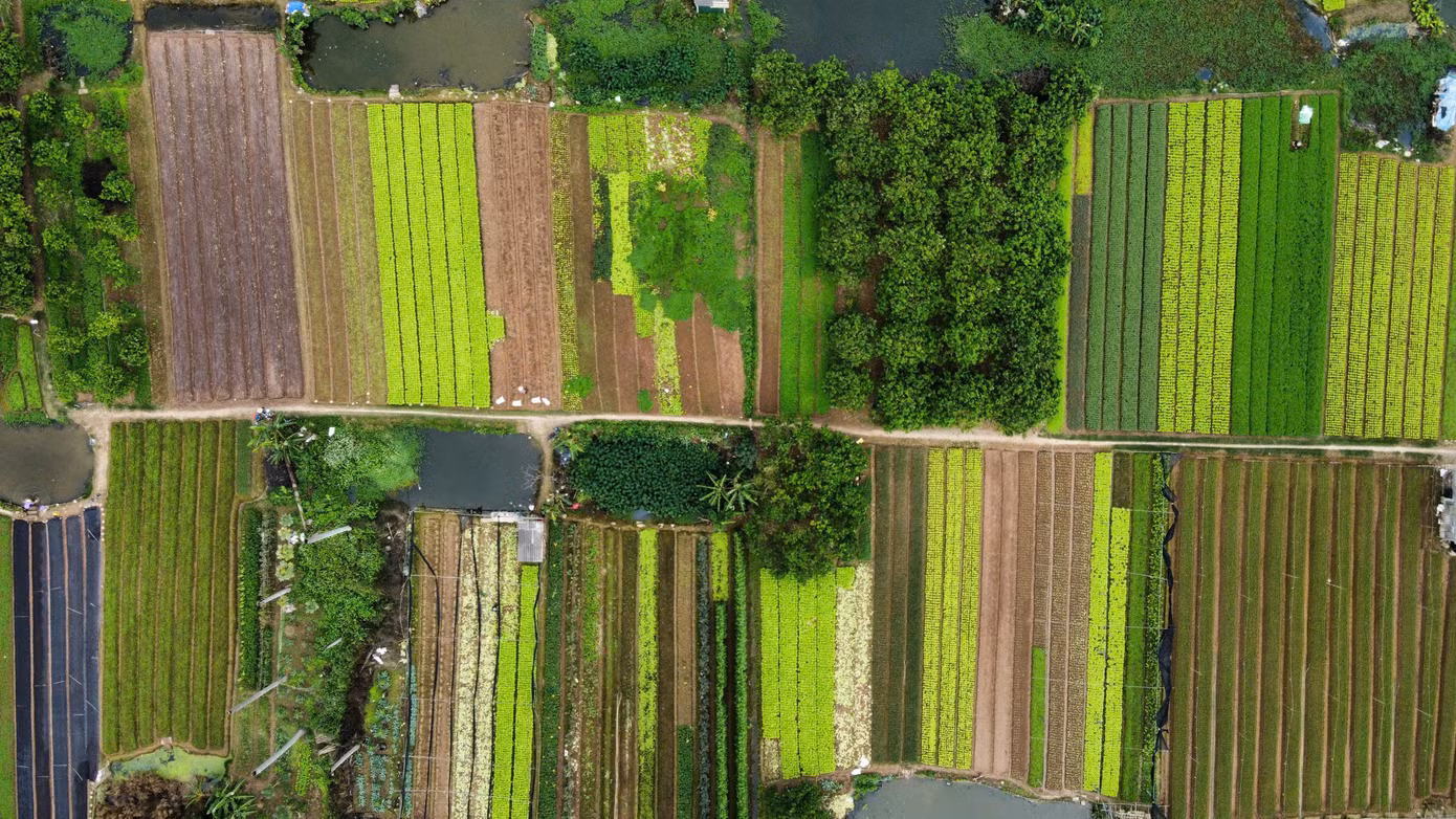 Tại buổi làm việc về tiến độ triển khai dự án mới đây, Chủ tịch UBND TP Hà Nội Trần Sỹ Thanh lưu ý, đây là dự án chậm triển khai trong thời gian dài. Do đó, việc tháo gỡ vướng mắc, đẩy nhanh tiến độ của dự án là yêu cầu cấp bách.
