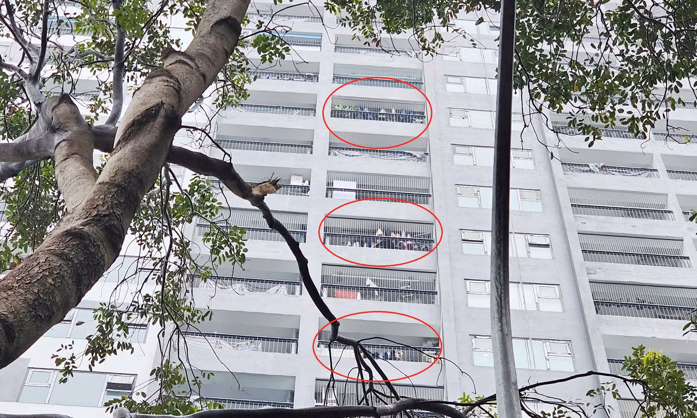 UBND phường Hoàng Liệt giao công an phường phối hợp kiểm tra hành chính, làm rõ việc người dân vào ở trong căn hộ khi chưa đủ điều kiện.