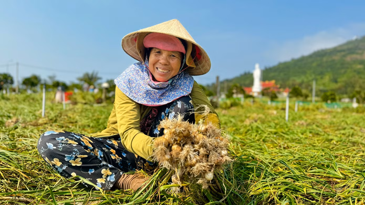 Năm nay tỏi được mùa nên nông dân rất phấn khởi.