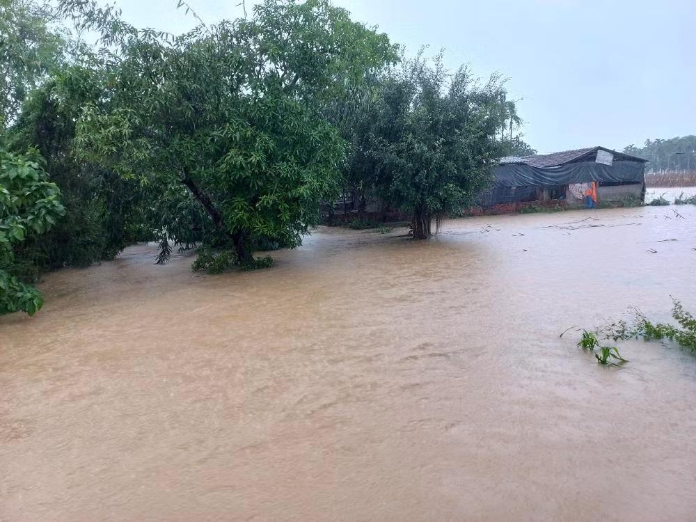 Ông Ngô Văn Dụng - Phó Chủ tịch UBND huyện Bình Sơn nói toàn huyện có 98 hộ dân với 228 khẩu khu vực ven sông Trà Bồng đã được di dời đến nơi an toàn. Hiện tại nhiều tuyến đường giao thông ở các xã Bình Mỹ, Bình Chương, Bình Chánh, Bình Thới bị cô lập. Phương tiện giao thông không qua lại được, chính quyền địa phương phải phân công các lực lượng trực gác, làm rào chắn.
