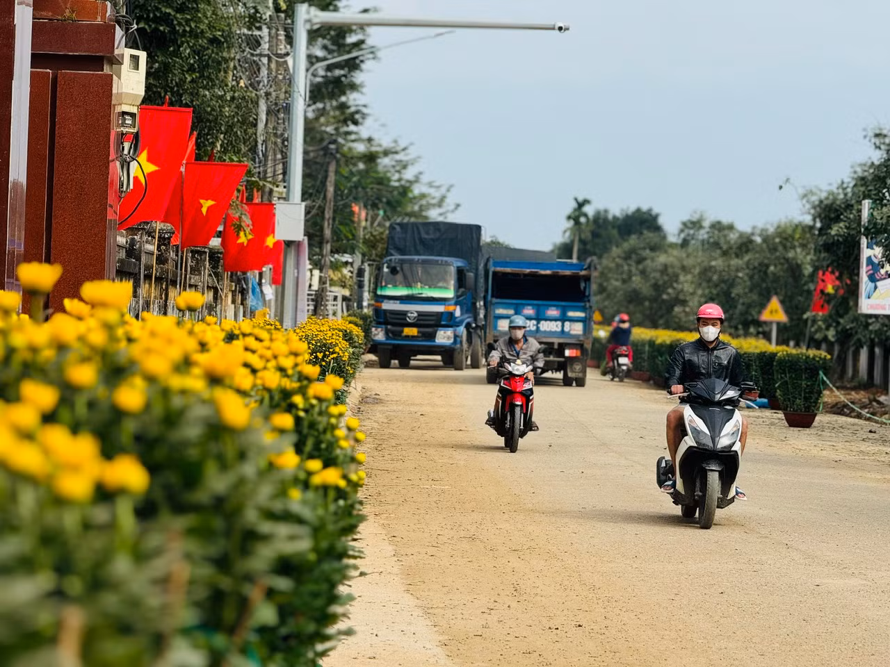 Những ngày giáp Tết, làng hoa Nghĩa Hiệp (xã Nghĩa Hiệp, huyện Tư Nghĩa) được hoa cúc “nhuộm vàng”. Ảnh: Nguyễn Ngọc