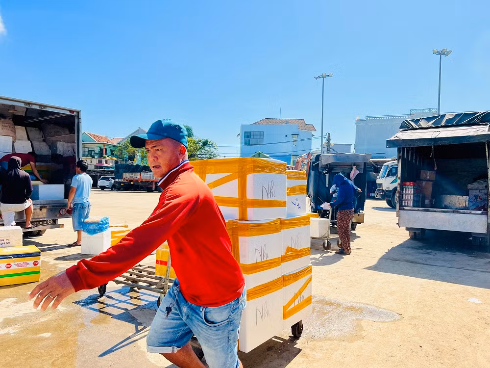 “Theo dự báo Trung tâm Khí tượng thủy văn thì khả năng tàu chỉ chạy từ 11/1 đến ngày 15/1 (tức chủ nhật, 24 tháng chạp âm lịch) vì thời tiết diễn biến xấu khiến nhiều khả năng tàu không thể hoạt động sau thời gian này. Do vậy, tỉnh Quảng Ngãi có phương án đưa người dân về đảo vào ngày 21/1 (tức 30 tháng chạp âm lịch)”, ông Chức thông tin thêm.