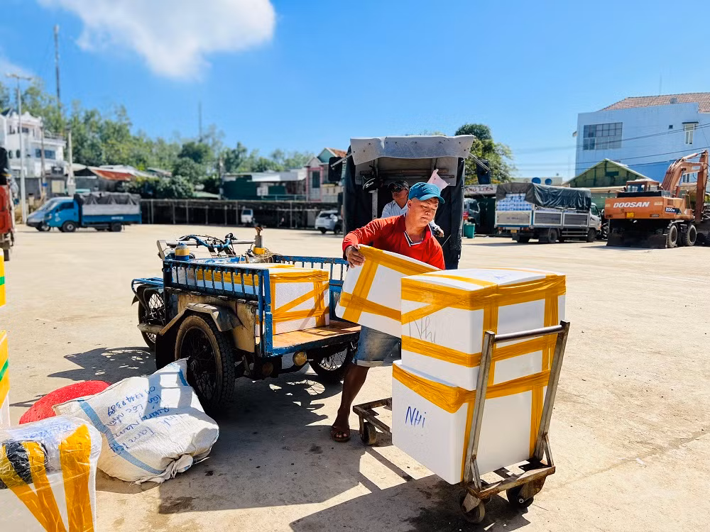 Trao đổi với PV, ông Tạ Công Chức - Phó Giám đốc Ban Quản lý cảng Sa Kỳ cho biết, qua cuộc họp cùng Cảng vụ Hàng hải, Ban Quản lý cảng, các cơ quan chức năng, doanh nghiệp thống nhất chạy tàu từ ngày 11/1 đến tết, mỗi ngày chạy 4 chuyến tàu khách. Đối với tàu vận tải hàng hóa hàng hằng ngày sẽ có 3 chuyến từ đất liền ra đảo Lý Sơn, trung bình mỗi chuyến tàu chở được 150-200 tấn, chủ yếu là vận chuyển nhu yếu phẩm như rau, trái cây, củ, quả và hoa Tết.