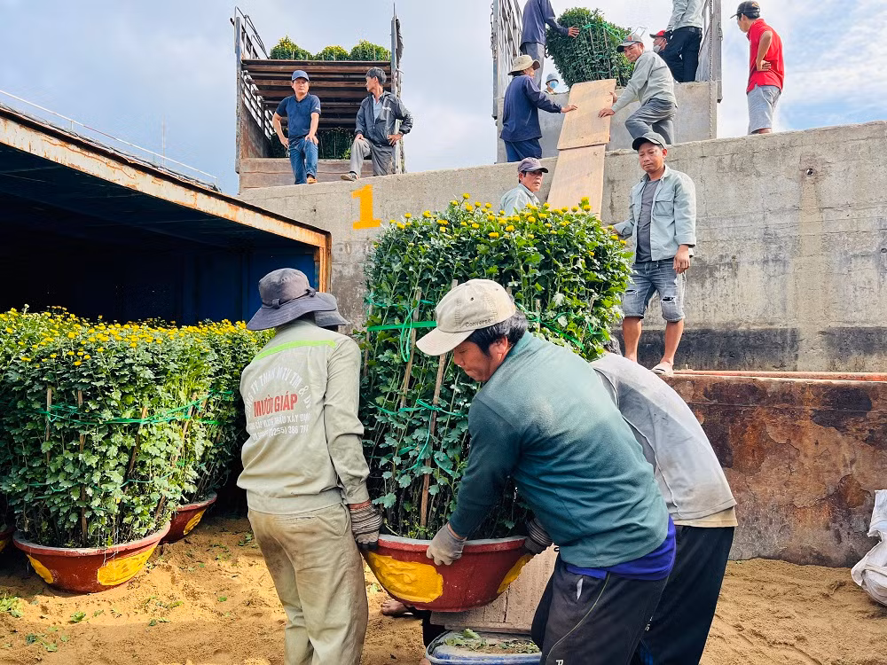 Tại đầu cảng Sa Kỳ, nhiều đội bốc vác hàng hóa phải làm việc hết công suất để đưa hàng lên các tàu hậu cần. Các tàu hàng hoạt động liên tục từ sáng sớm cho đến chiều để đưa toàn bộ hàng hóa ra đảo.