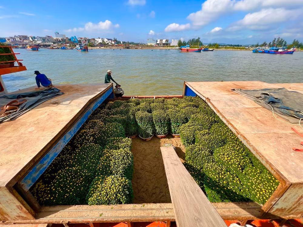 Theo Đài khí tượng thủy văn tỉnh Quảng Ngãi, thời tiết trên biển hiện khả quan để vận tải hàng hóa, hành khách ra đảo nhưng biển sẽ động trở lại và nhiều khả năng đảo Lý Sơn sẽ bị cô lập trong vài ngày tới. Chính quyền địa phương đề nghị các đơn vị vận tải hàng hóa tăng chuyến để tiếp tục đưa hàng hoá ra đảo, đảm bảo đủ nguồn hàng trước khi thời tiết chuyển biến xấu trở lại.