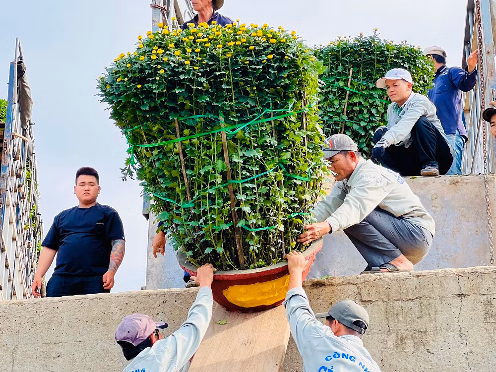 Những chuyến xe chở hàng từ các nơi tấp nập đến cảng Sa Kỳ - Lý Sơn, mang theo hàng hóa, lương thực, thực phẩm và các loại hoa tết để phục vụ nhu cầu đón Tết của người dân trên đảo Lý Sơn.