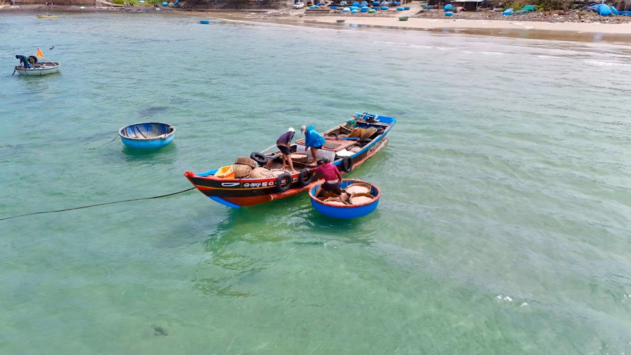 Liên tục trong những ngày qua, vùng bãi ngang xã Bình Châu (huyện Bình Sơn, tỉnh Quảng Ngãi) luôn tấp nập tàu cá vào bán ruốc. Trung bình mỗi tàu đánh ruốc có từ 3 - 7 lao động, tùy thuộc vào tàu có công suất lớn hay nhỏ. Ảnh: Nguyễn Ngọc