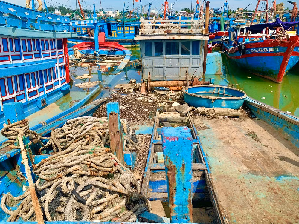 Nguyên nhân chính là do các chủ tàu làm ăn thua lỗ, vướng nợ ngân hàng vì vay đóng tàu mới.