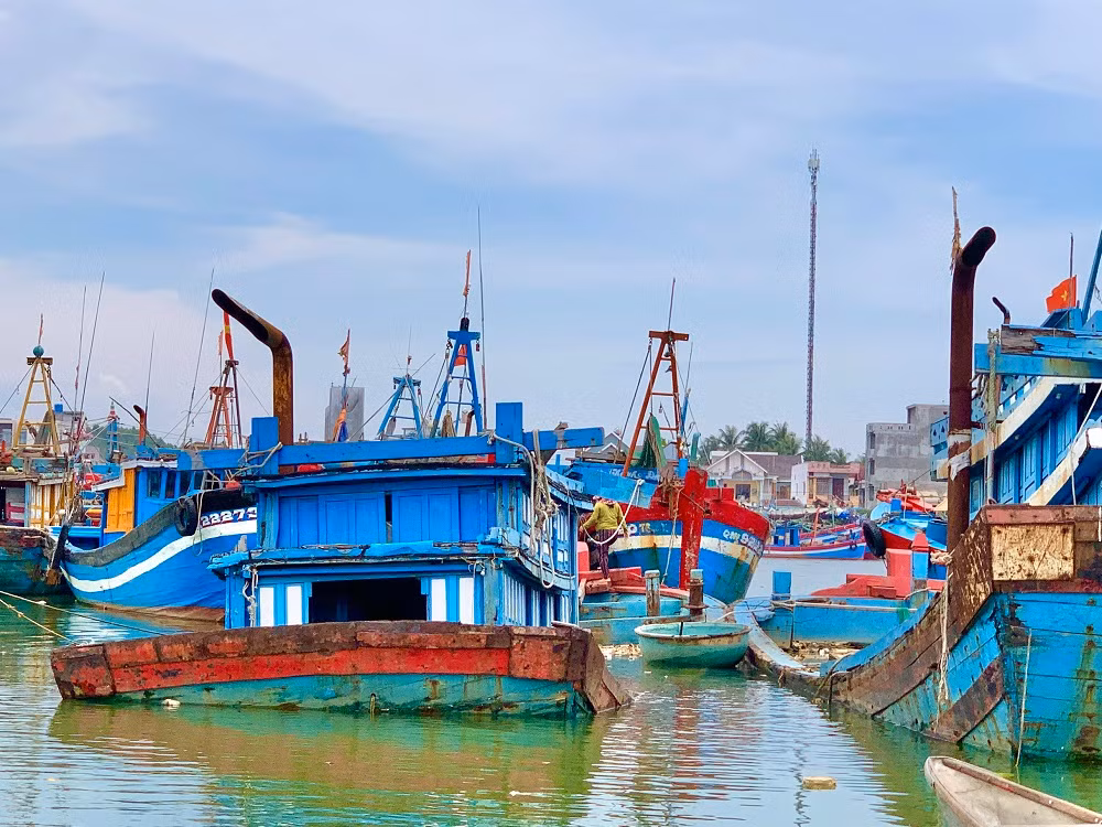 Sau thời gian dài neo đậu, những tàu cá tiền tỷ bắt đầu hư hỏng rồi chìm xuống sông Phú Thọ.