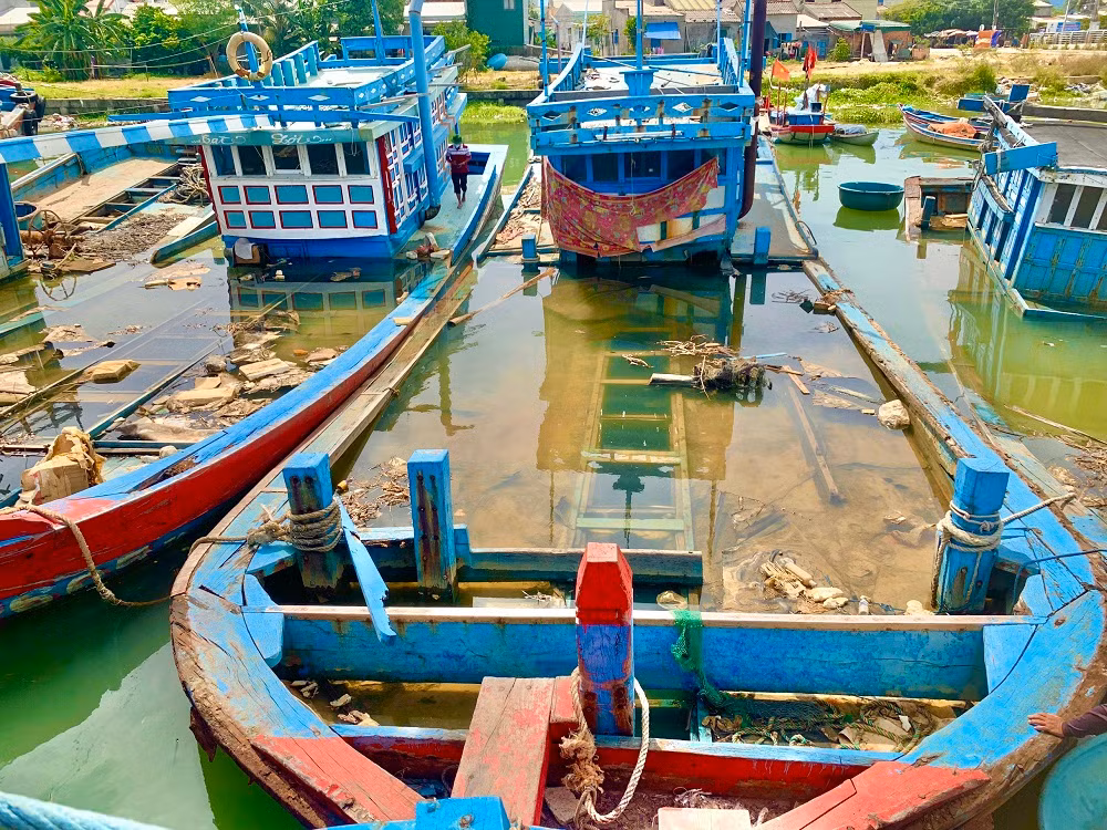 Nguyên nhân chính là do các chủ tàu làm ăn thua lỗ, vướng nợ ngân hàng vì vay đóng tàu mới.