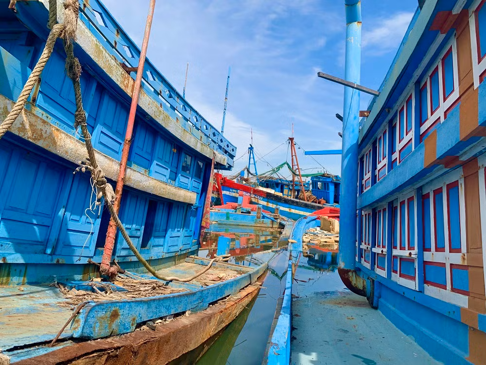 Nguyên nhân chính là do các chủ tàu làm ăn thua lỗ, vướng nợ ngân hàng vì vay đóng tàu mới.