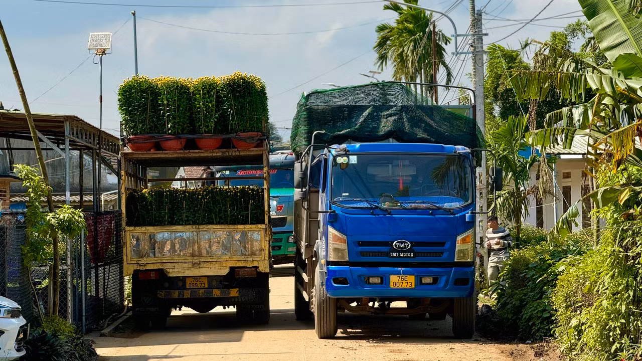 Dọc các tuyến đường tấp nập kẻ mua, người bán. Hoa được vận chuyển đi khắp nơi. Ảnh: Nguyễn Ngọc