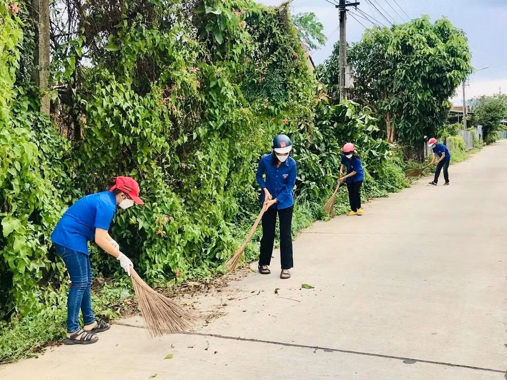 ĐVTN ra quân dọn rác ở ven biển và đường làng.