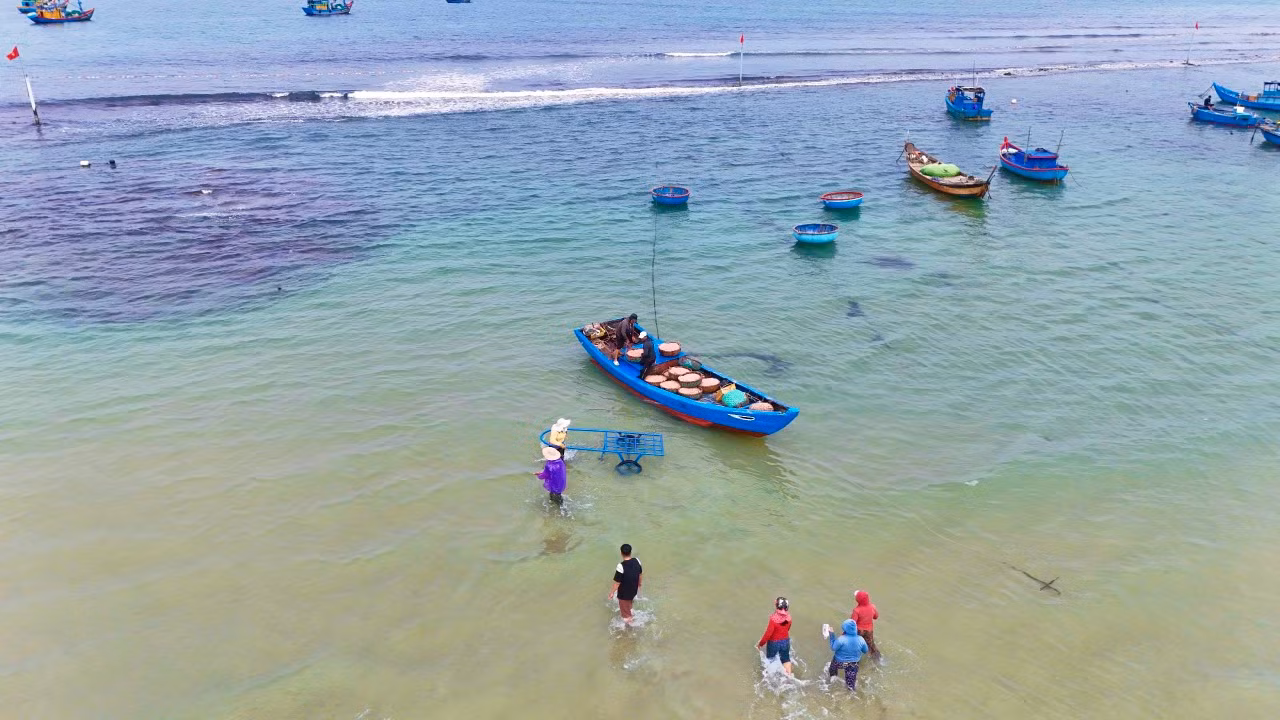 Liên tục trong những ngày qua, vùng bãi ngang xã Bình Châu (huyện Bình Sơn, tỉnh Quảng Ngãi) luôn tấp nập tàu cá vào bán ruốc. Trung bình mỗi tàu đánh ruốc có từ 3 - 7 lao động, tùy thuộc vào tàu có công suất lớn hay nhỏ. Ảnh: Nguyễn Ngọc