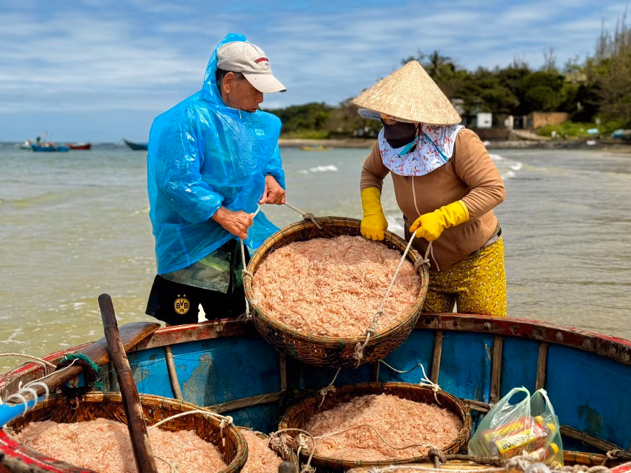 Đang cân ruốc bán cho thương lái, ngư dân Phạm Văn Phượng (trú xã Bình Châu, huyện Bình Sơn cho hay, hôm nay, sau 5 tiếng ra khơi, anh cùng 2 thuyền viên khai thác được 20 giỏ ruốc, khoảng 4 tạ. Với giá bán 20.000 đồng/kg, tàu của anh cũng thu về được gần 8 triệu đồng. Sau khi trừ hết chi phí mỗi người “đút túi” cũng được hơn 1 triệu đồng. Ảnh: Nguyễn Ngọc