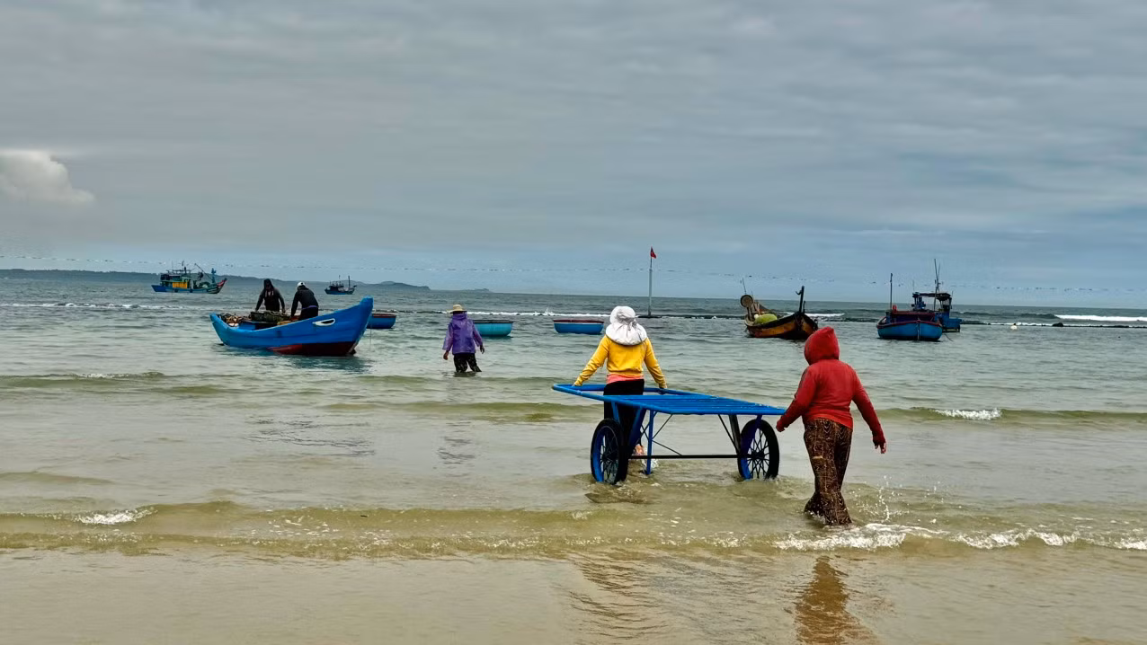 Ruốc xuất hiện dày đặc, chỉ trong một ngày ra khơi khai thác, các tàu của ngư dân có thể đánh bắt được khoảng 5 tạ ruốc, cá biệt có tàu đánh bắt được 2 tấn, với giá 20.000 đồng/kg mà mỗi tàu có thể thu về từ 10 – 30 triệu đồng. Trừ hết chi phí mỗi ngư dân có thể bỏ túi từ 1 – 3 triệu đồng. Ảnh: Nguyễn Ngọc