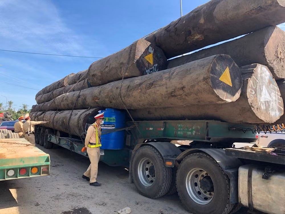Lực lượng chức năng tiến hành kiểm tra khối lượng gỗ trên xe.