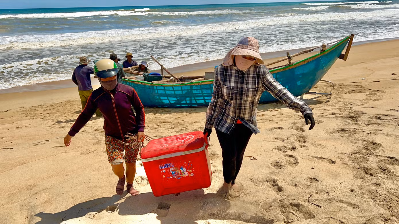 “Bên cạnh đó, thời gian đánh bắt ngắn nên hải sản vẫn còn tươi sống, bán được giá cao hơn những ngày bình thường”, ngư dân Bình nói.