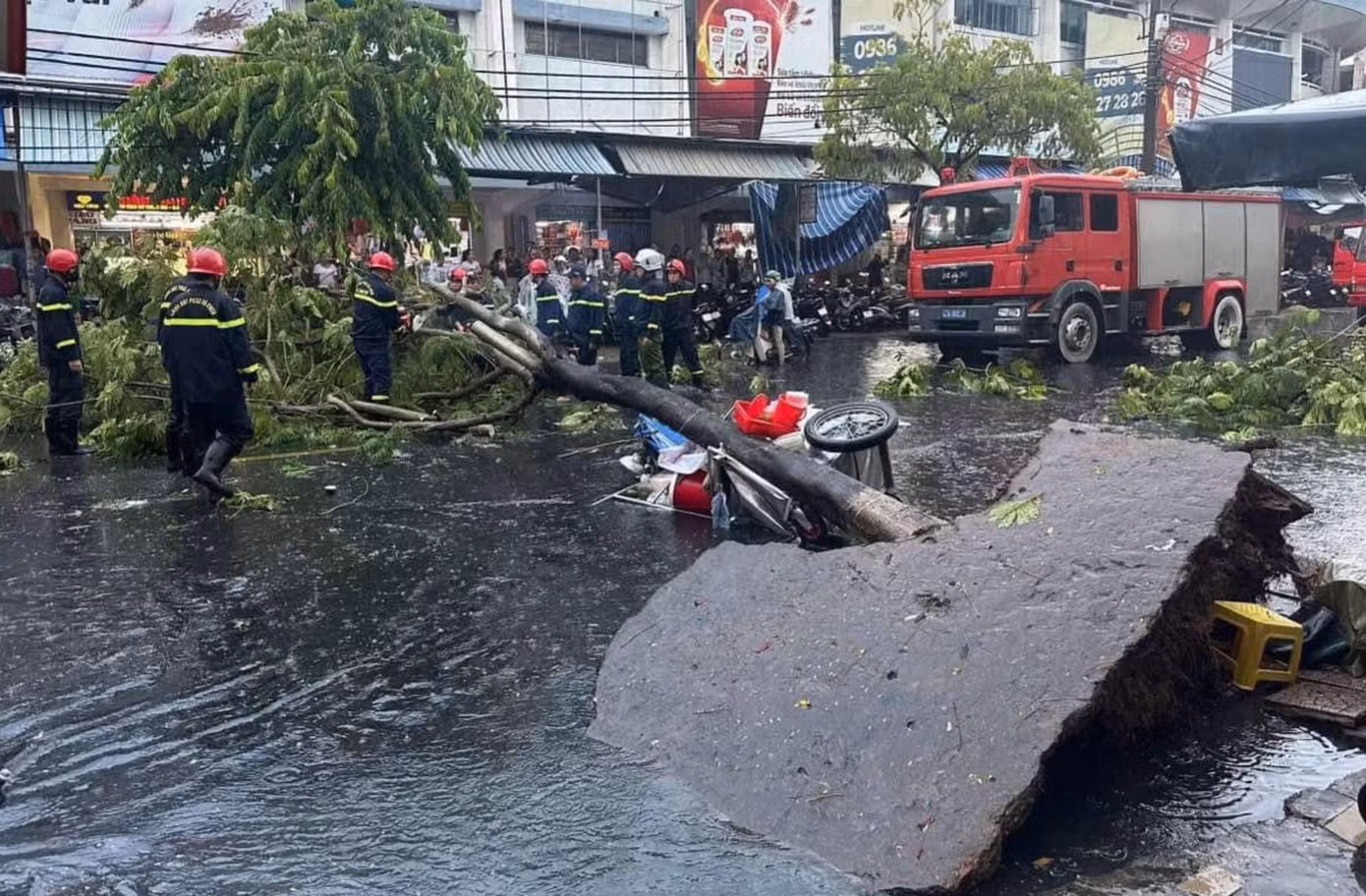 Chiếc xe đẩy bán hàng của chị V. bị cây ngã đè bẹp nhúm.