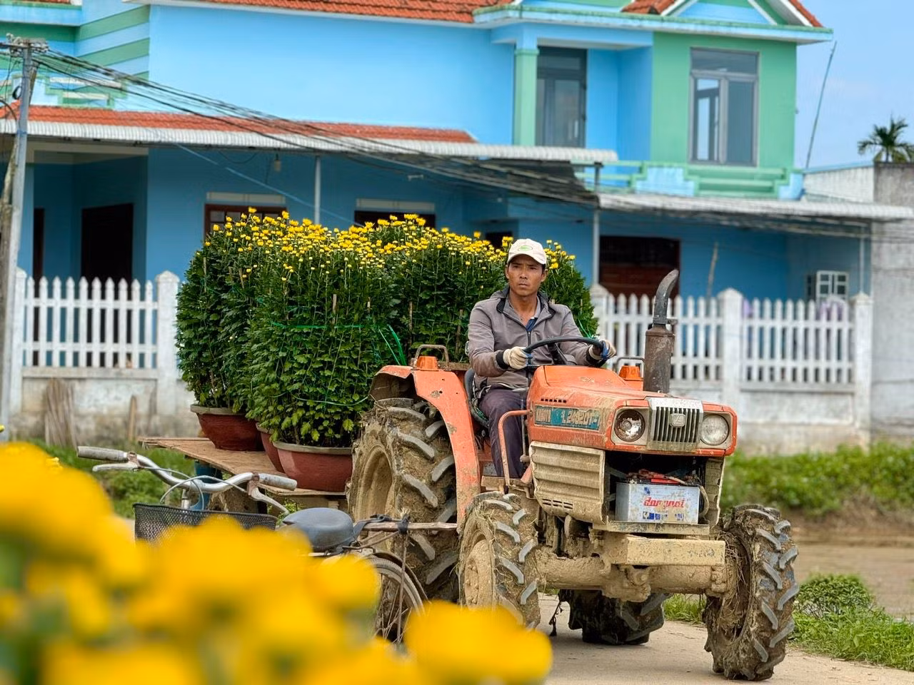 “Làng hoa Nghĩa Hiệp có tuổi đời hơn 50 năm, chừng ấy thời gian người dân ở đây đón xuân sớm hơn các nơi. Đến khi hoa rời xóm làng, đến tay người dân khắp cả nước đón Tết thì làng lại trở lại bình thường…”, ông Nông nói. Ảnh: Nguyễn Ngọc
