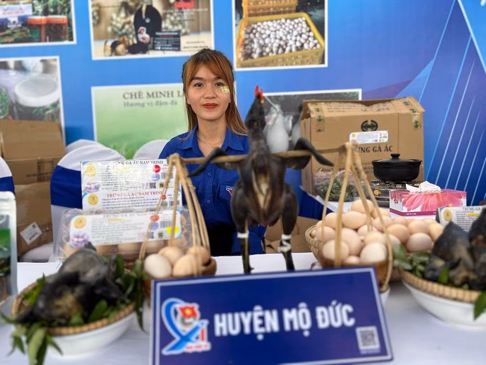 Đại hội đại biểu Đoàn TNCS Hồ Chí Minh tỉnh Quảng Ngãi lần thứ 15, nhiệm kỳ 2022 - 2027 diễn ra trong hai ngày 1/10 - 2/10/2022 tại Hội trường Nhà văn hóa Lao Động tỉnh. Đại hội chia làm 3 phiên với sự tham gia của 244 đại biểu chính thức đại diện cho hơn 57.000 đoàn viên trong tỉnh.