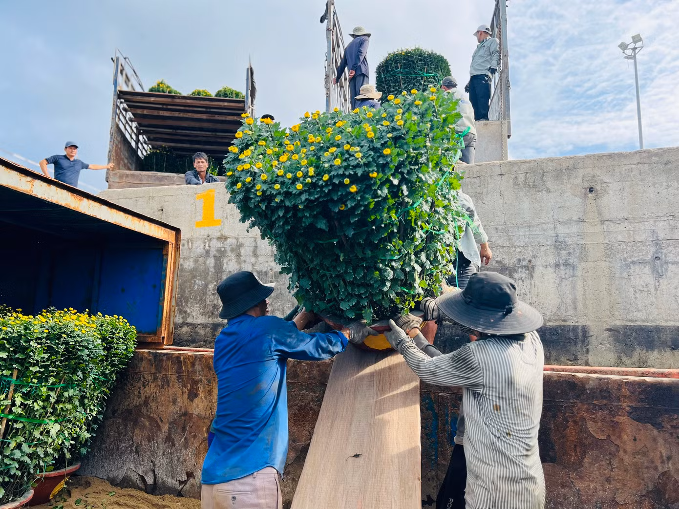 Các công nhân bốc vác hàng hóa cũng phải làm việc hết công suất để đưa hàng lên các tàu.