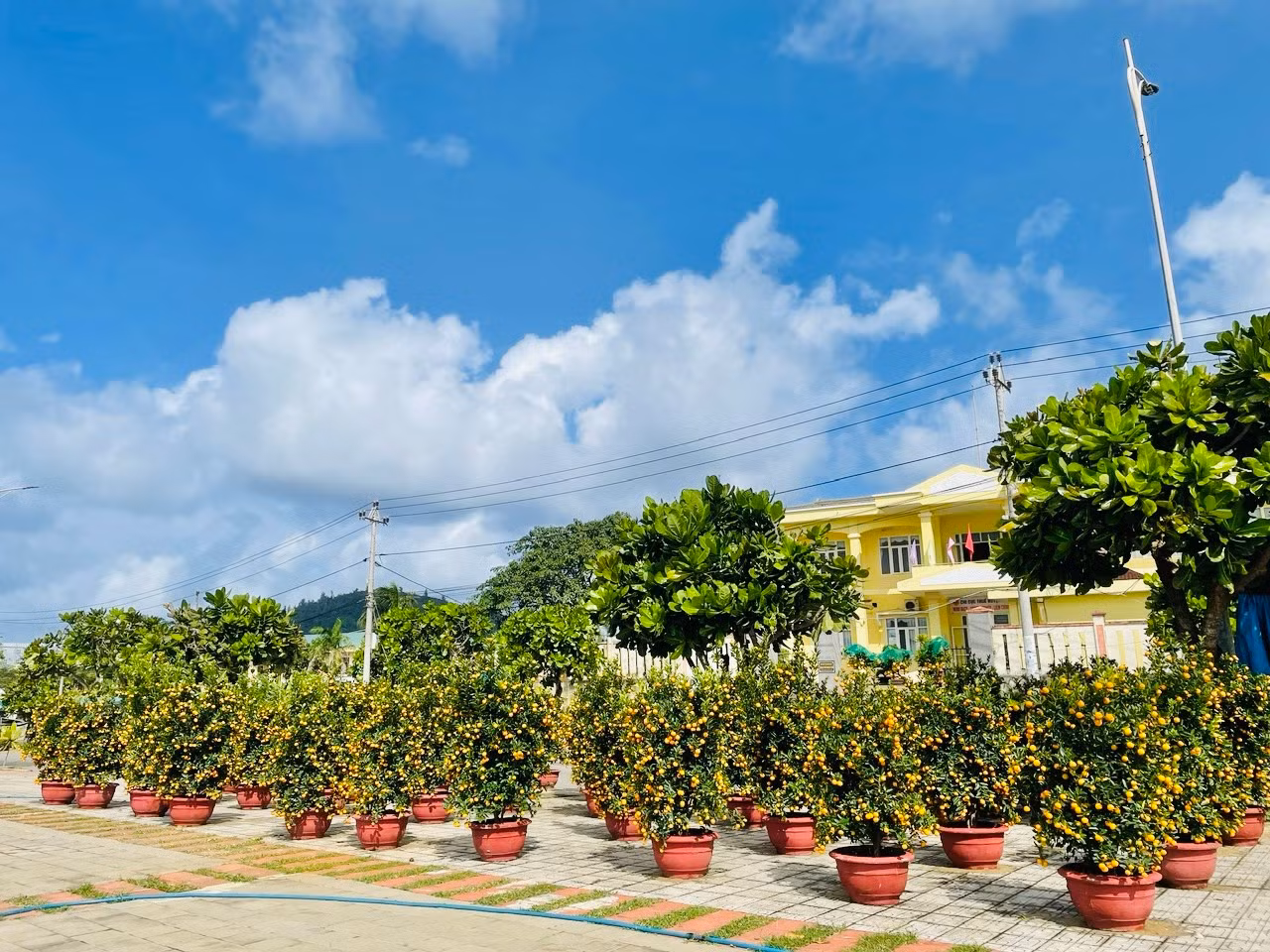 “Lượng hành khách ra đảo giảm nhiều. Một phần do thời tiết, khó khăn về kinh tế nên người dân về đảo ăn tết ít đi so với mọi năm”, bà Hương nói.