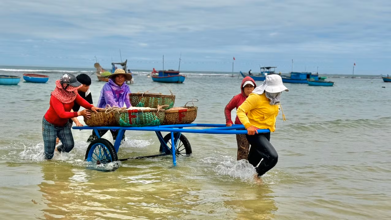 Ngoài những người trực tiếp đánh bắt, mùa ruốc cũng mang đến nguồn thu nhập khá cho nhiều phụ nữ trên bờ. Những người làm nghề vận chuyển ruốc thuê sẽ kiếm được 200.000 – 300.000 đồng mỗi ngày. Ảnh: Nguyễn Ngọc