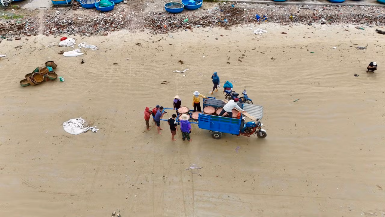 Ngoài những người trực tiếp đánh bắt, mùa ruốc cũng mang đến nguồn thu nhập khá cho nhiều phụ nữ trên bờ. Những người làm nghề vận chuyển ruốc thuê sẽ kiếm được 200.000 – 300.000 đồng mỗi ngày. Ảnh: Nguyễn Ngọc