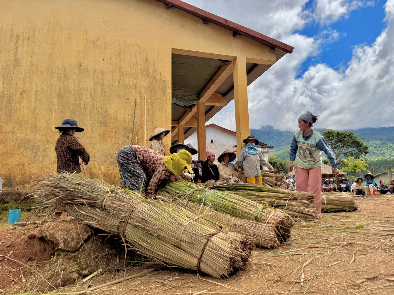 Đàn ông đảm nhận lớp mái trên cao, phụ nữ chuẩn bị lá tranh, đan lá.