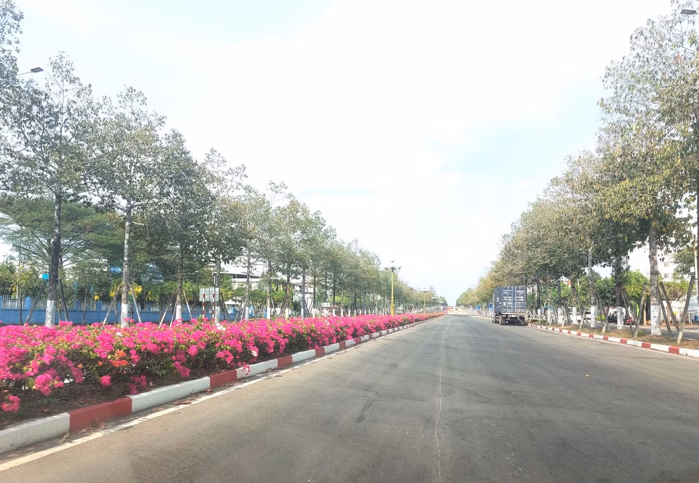 Hoa giấy tô điểm giúp tuyến đường trở nên lãng mạn giữa tiết trời nắng gắt