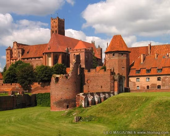 Lâu đài Malbork nổi tiếng nhất Ba Lan rộng 143.591 m2, được xây hoàn toàn bằng gạch theo phong cách kiến trúc Gôtích lớn nhất thế giới. Mehrangarh Fort rộng 81.227 m2, một pháo đài hàng nghìn năm tuổi tại Ấn Độ. Bao quanh là bức tường kiên cố có chiều dày 6m, bên trong là cung điện nguy nga với kiến trúc tinh xảo. Tại đây, bạn có thể thấy nhiều hiện vật lịch sử của những vị vua. Prague Castle rộng 66.761 m2 là lâu đài thời trung cổ lớn nhất ở châu Âu và là nơi ngự trị cổ xưa của các vị vua Séc trong suốt các thời đại. Đây là quần thể các tòa nhà, cung điện, thánh đường lộng lẫy và được xem là biểu tượng của cộng hòa Séc. Windsor Castle rộng 54.835 m2, là lâu đài lớn nhất, lâu đời nhất thế giới và là niềm tự hào lịch sử nước Anh. Lâu đài Hohensalzburg rộng 54523 m2 nằm tại thành phố Salzburg, Áo. Spis Castle rông 49485 m2 là một trong những lâu đài thời Trung cổ lớn nhất ở trung tâm châu Âu, tại miền đông Slovak Buda Castle rộng 44.674 m2 là lâu đài lịch sử của các vị vua Hungary tại Budapest. Himeji Castle rộng 41.468 m2 nằm ở trung tâm của thành phố Himeji, Nhật Bản. Thành cổ Aleppo rộng 39.804 m2, được coi là niềm tự hào của sa mạc, thành cổ Aleppo là một trong những lâu đài nổi tiếng nhất trong thế giới Ả Rập.